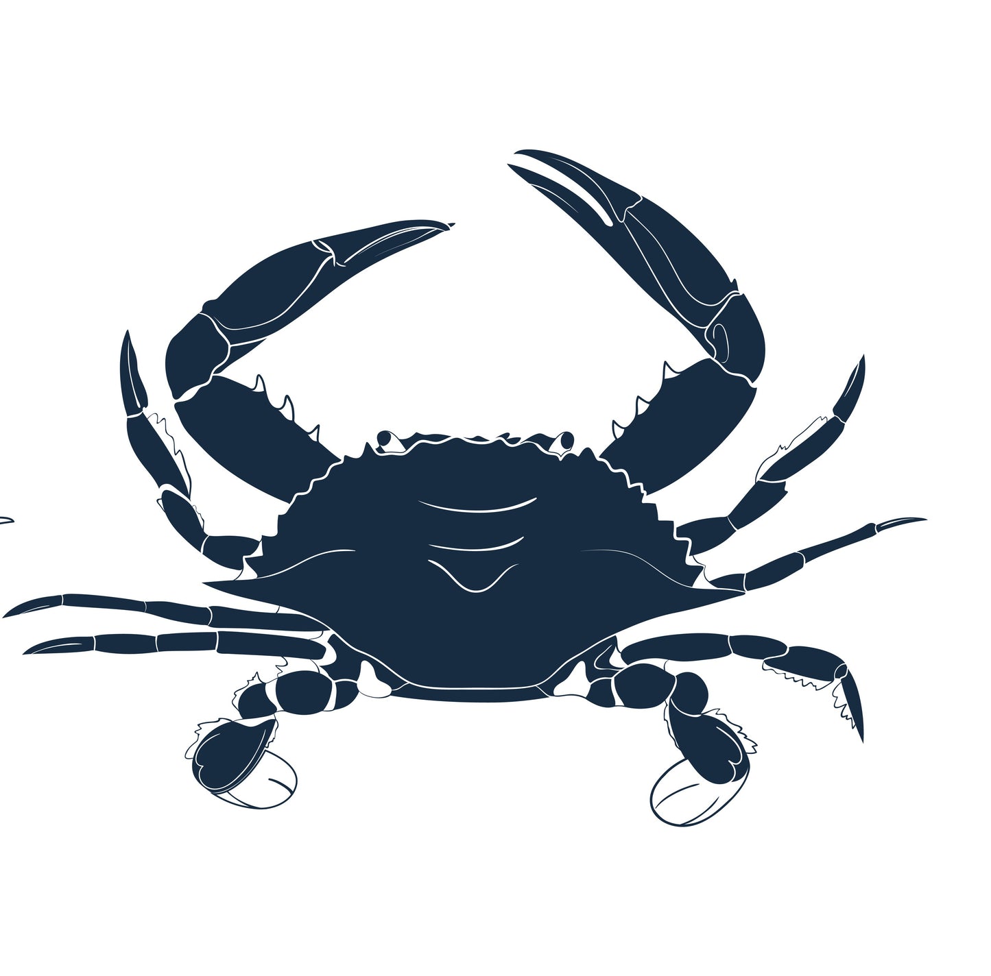 Swimmer Crab