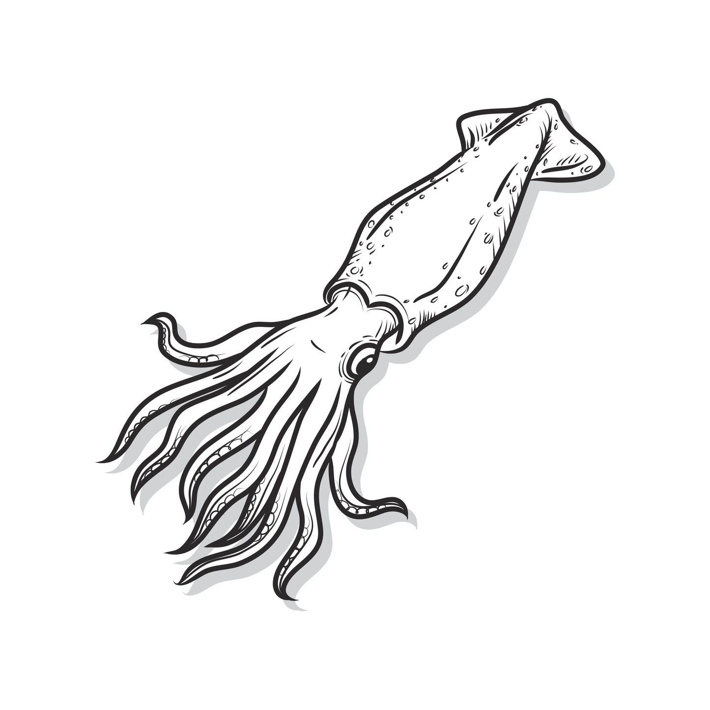 Squid II Right
