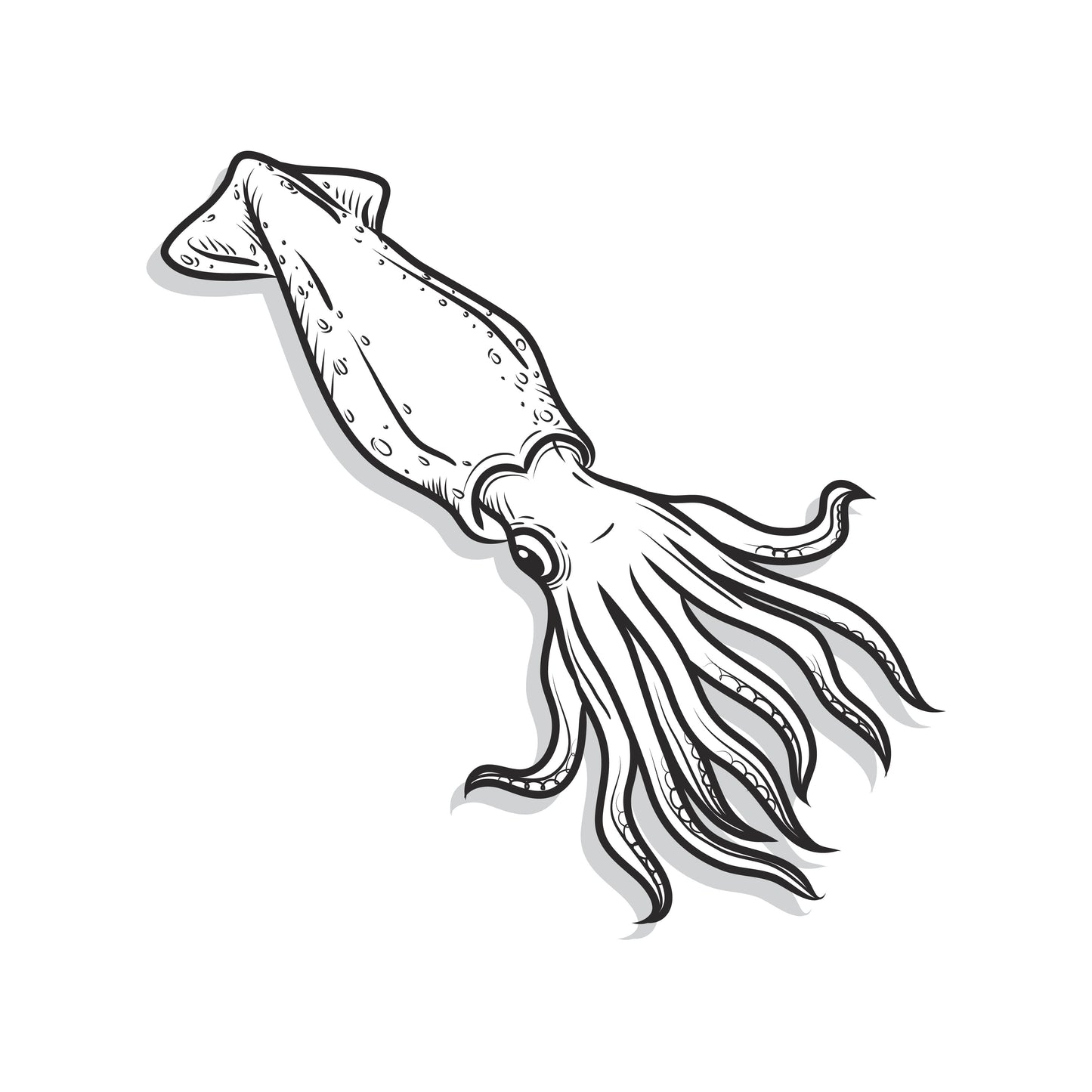 Squid II Left