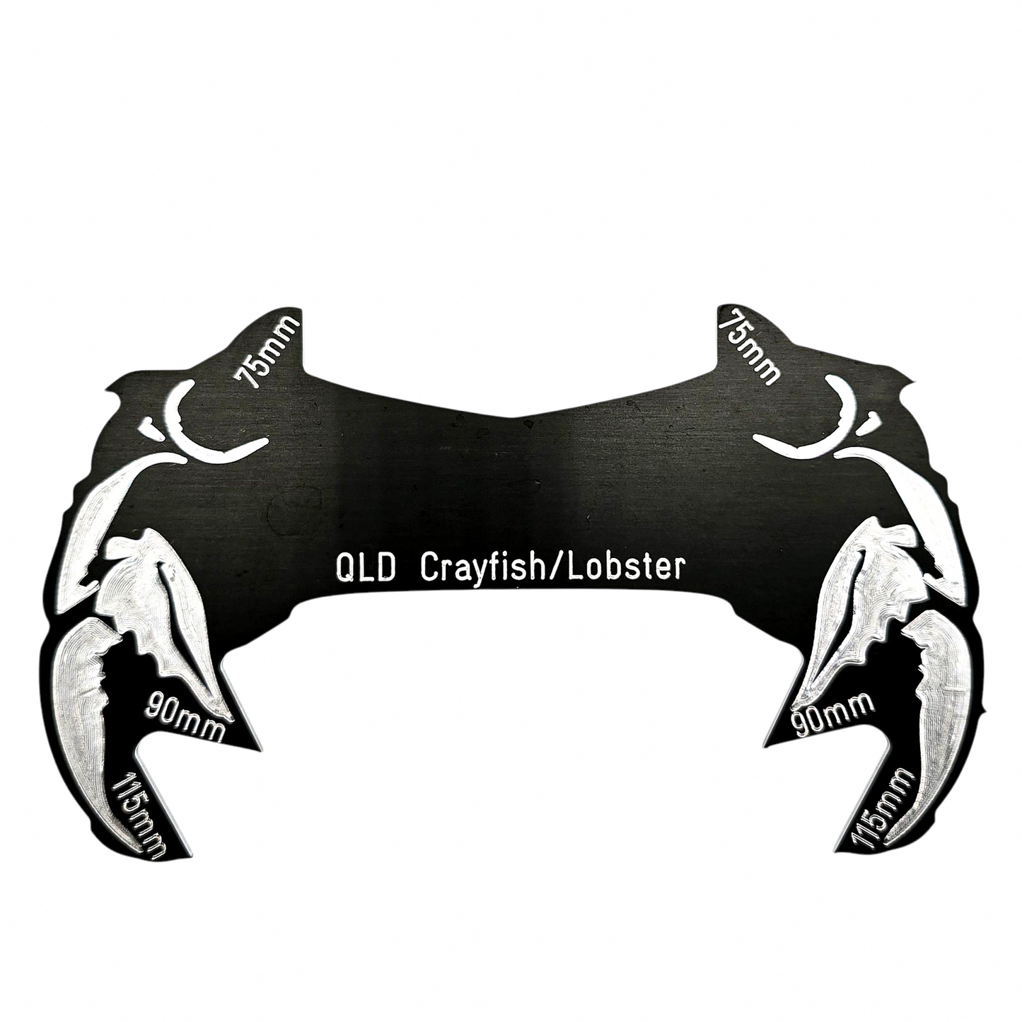 QLD Crayfish/Lobster Measure Gauge