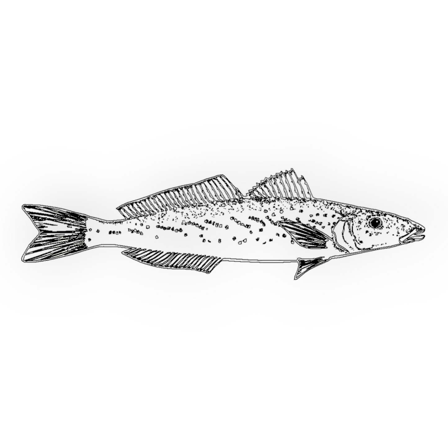 Whiting left