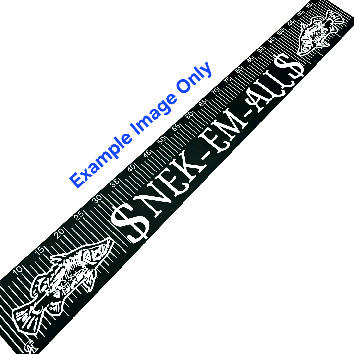 Custom Engraved Brag Plate