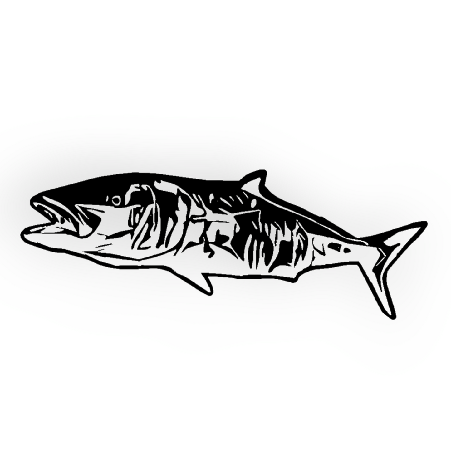 Kingfish right
