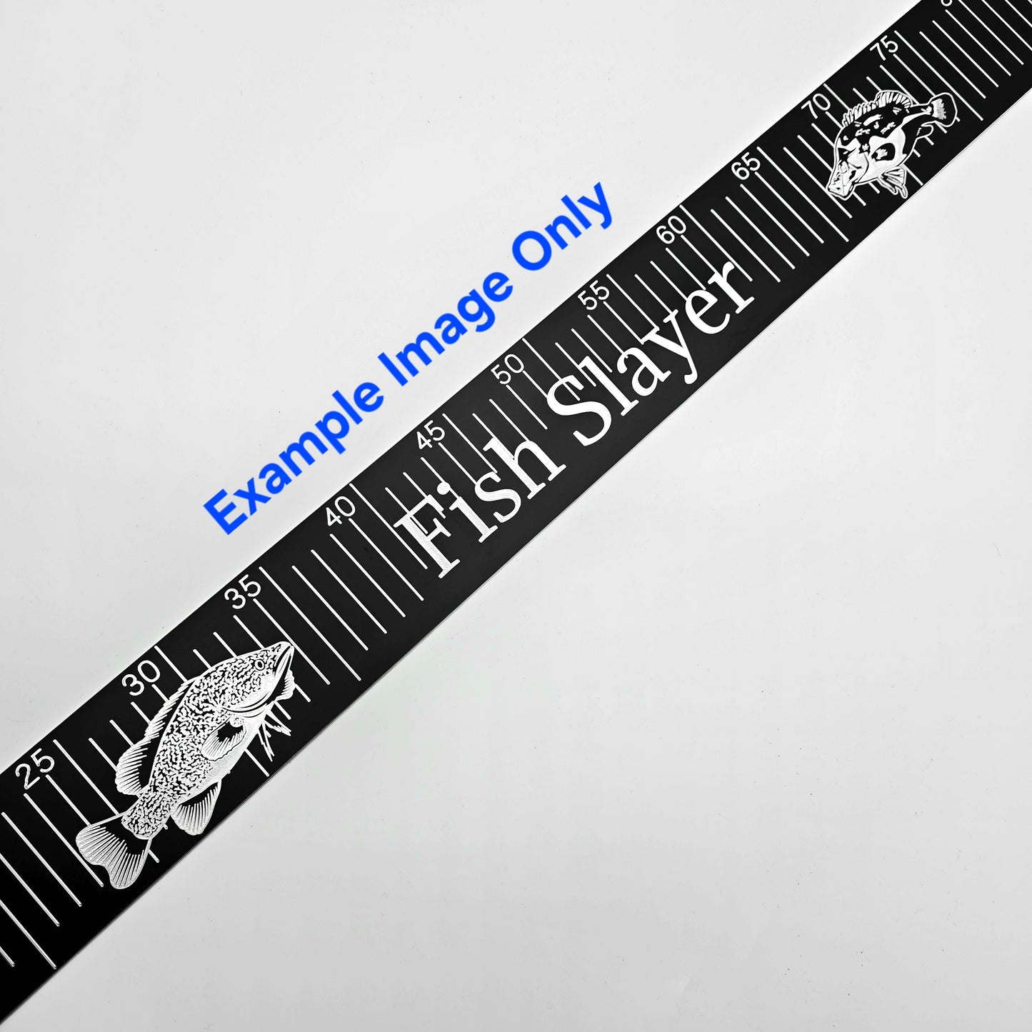 Custom Engraved Brag Plate