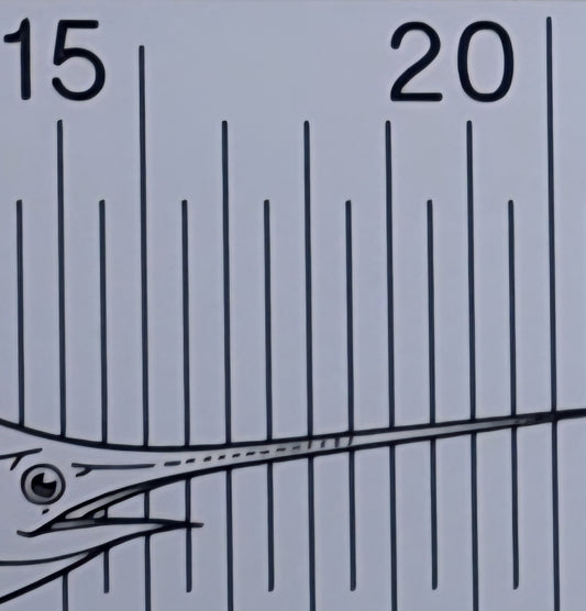 5mm Increments (100cm)