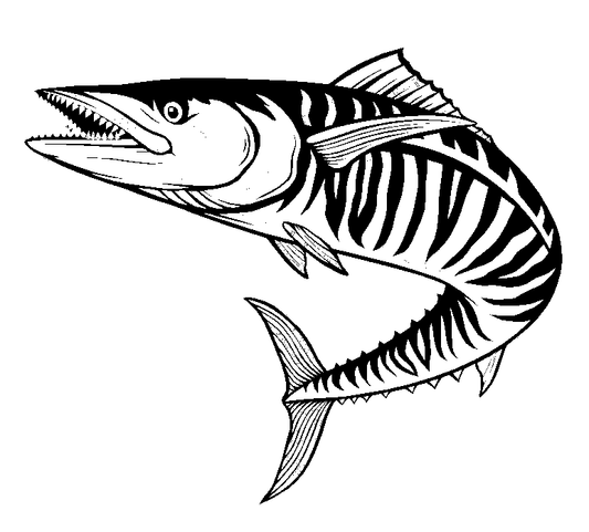 Mackerel Right