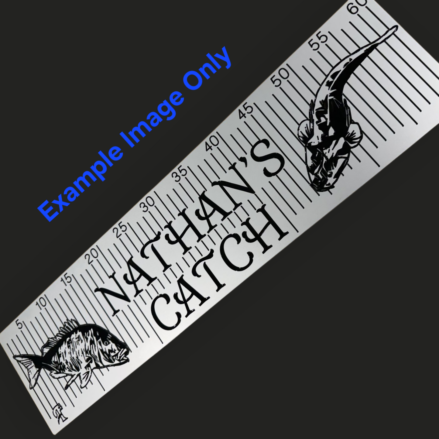 Custom Engraved Brag Plate