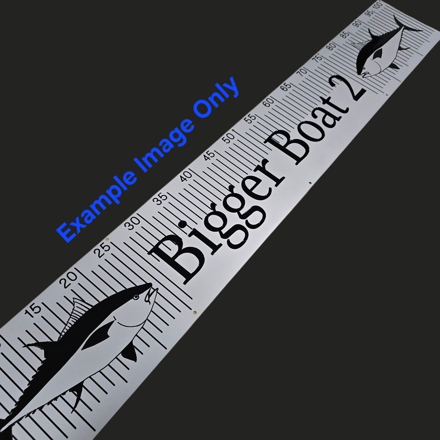 Custom Engraved Brag Plate