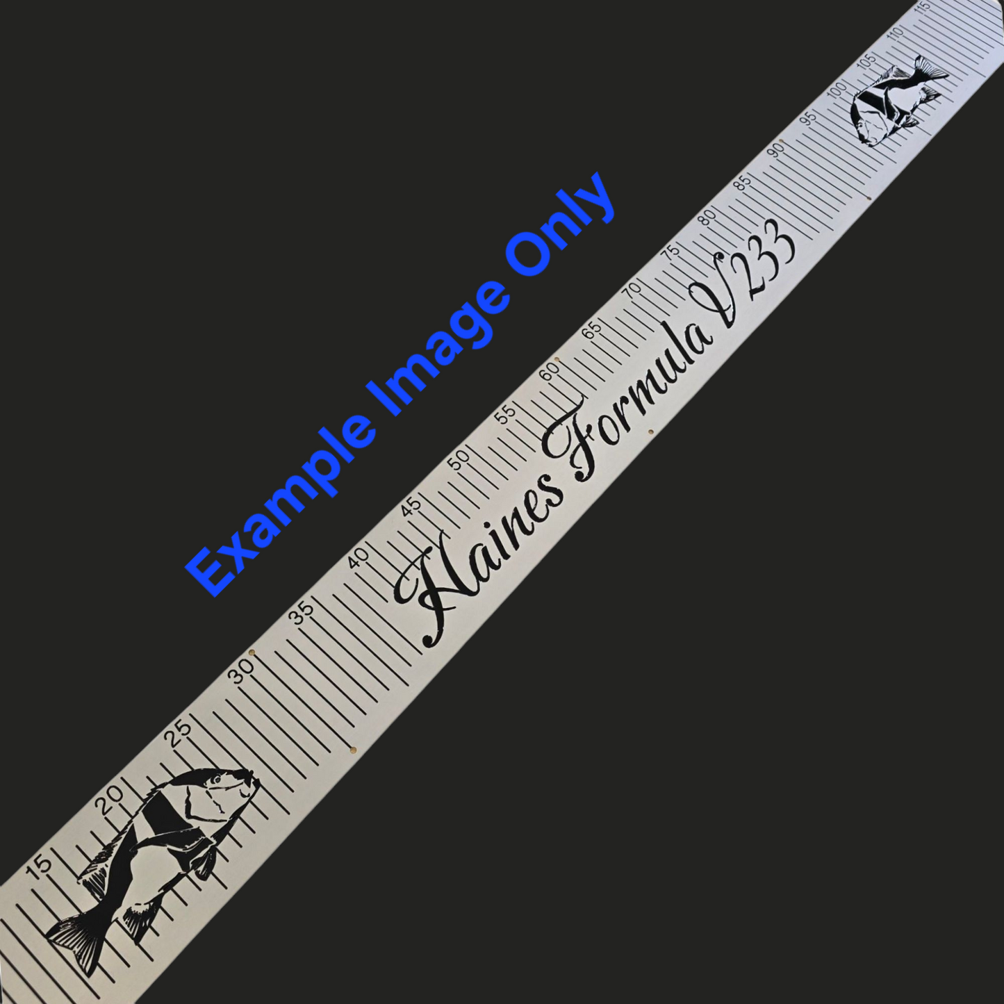 Custom Engraved Brag Plate