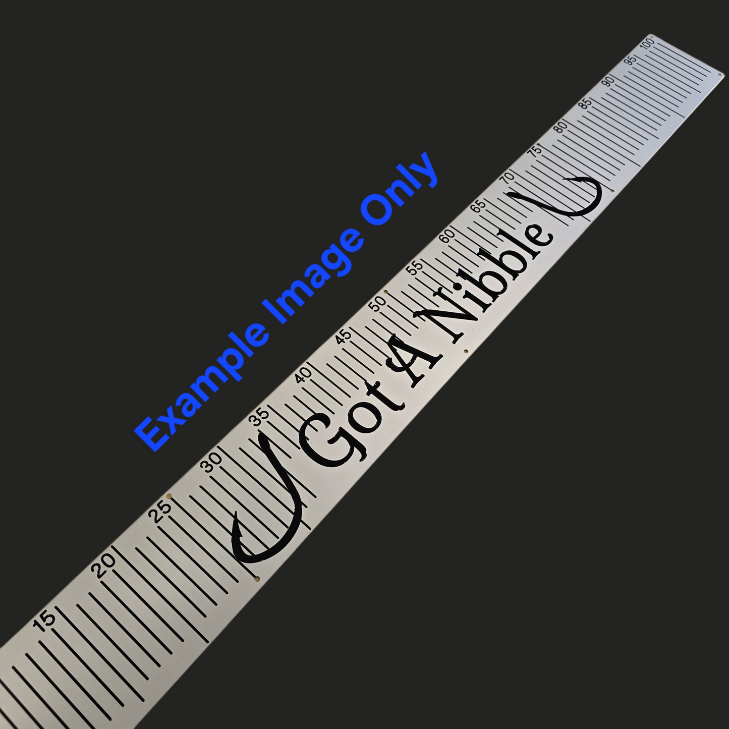 Custom Engraved Brag Plate